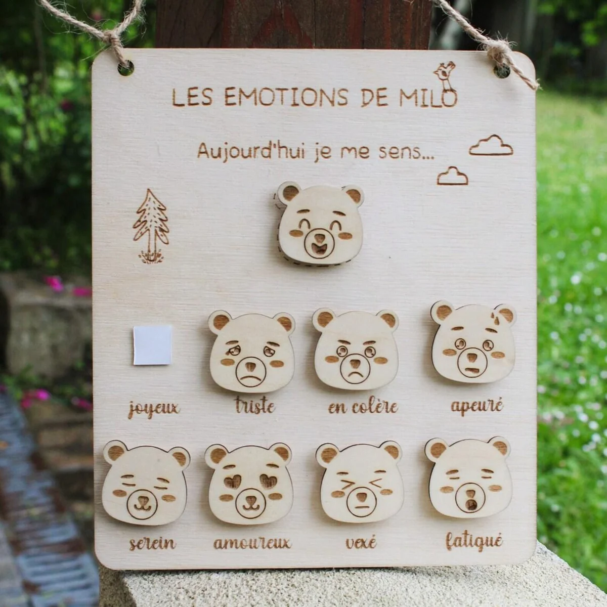 Aperçu 1 : Emotion chart