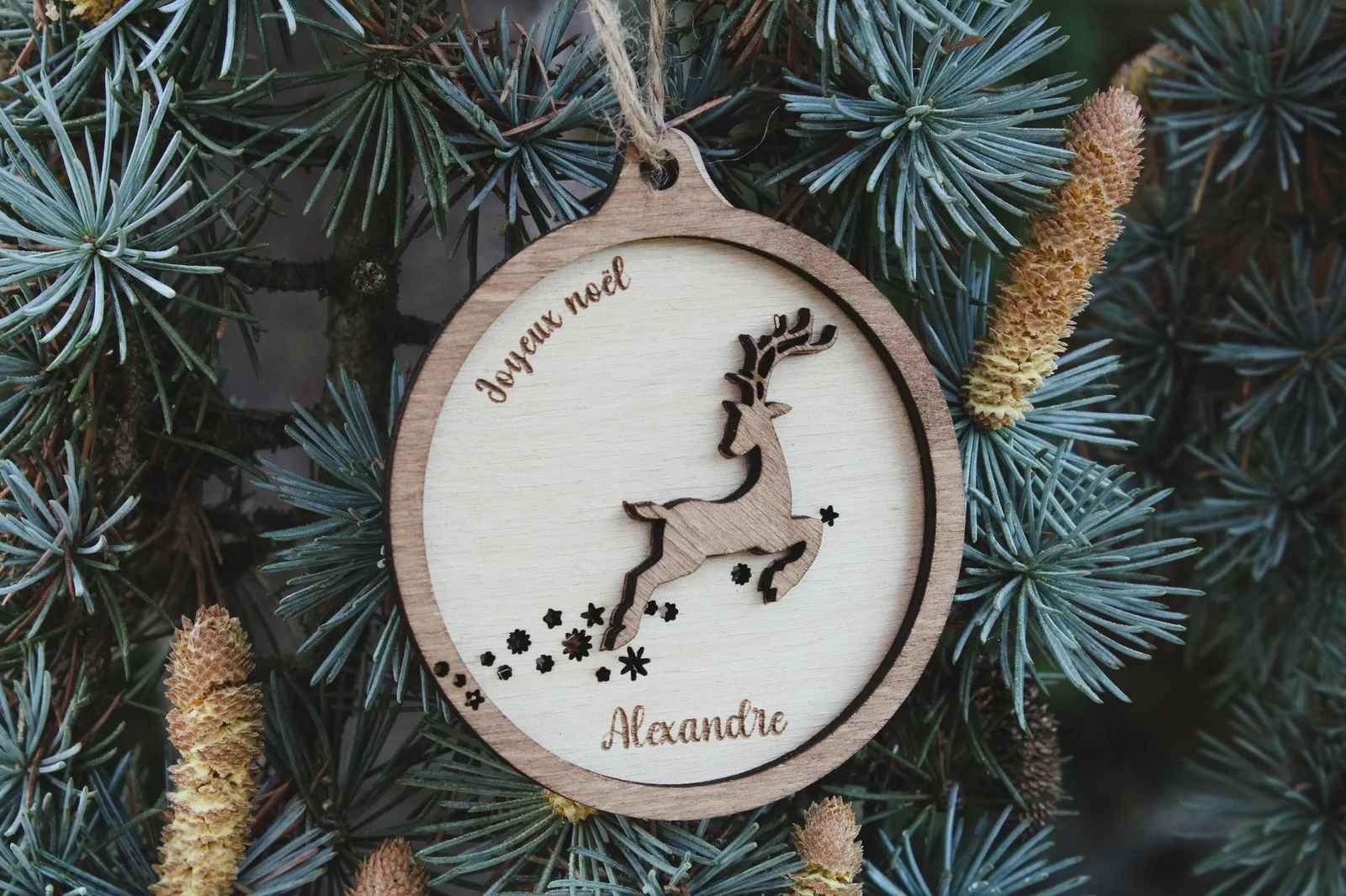 Aperçu 1 : Boule de Noël personnalisée renne